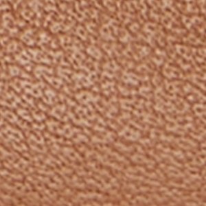 Gold Cup? Fish Boat Shoe - Image 8