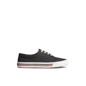Striper II Linen CVO Sneaker