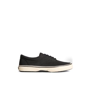 Halyard CVO Sneaker